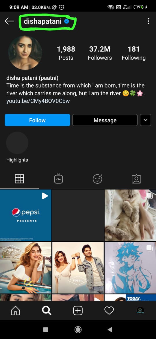 instagram profile viewer