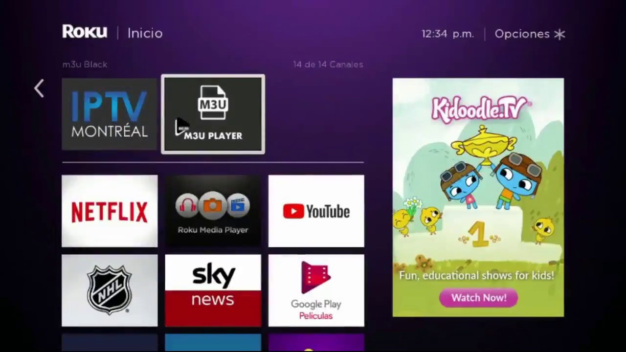 30 Roku Private Channels that are Hidden in 2023