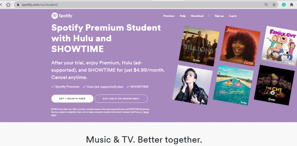 spotify hulu student discount