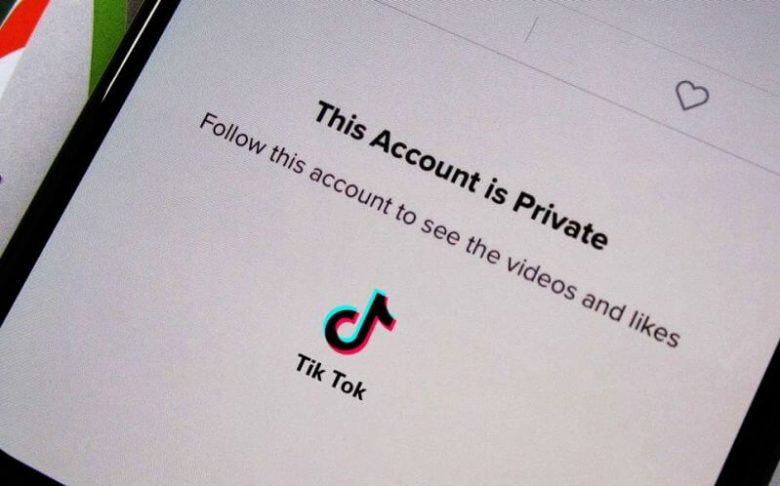 tiktok private account downloader app apk
